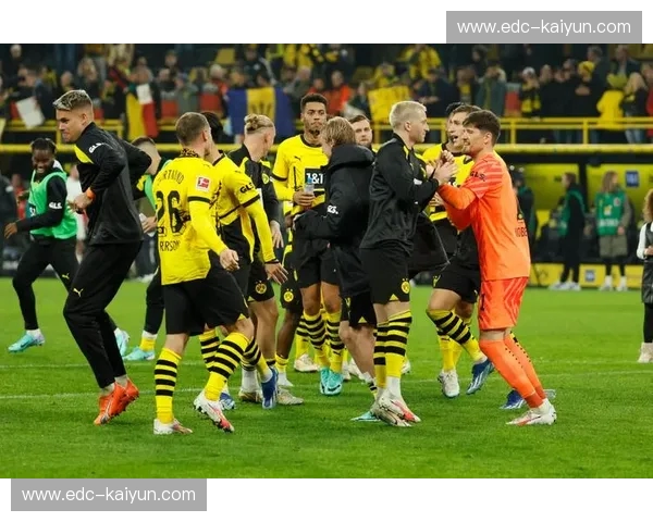 绿茵场上的激情碰撞：多特蒙德与云达不莱梅的宿命对决